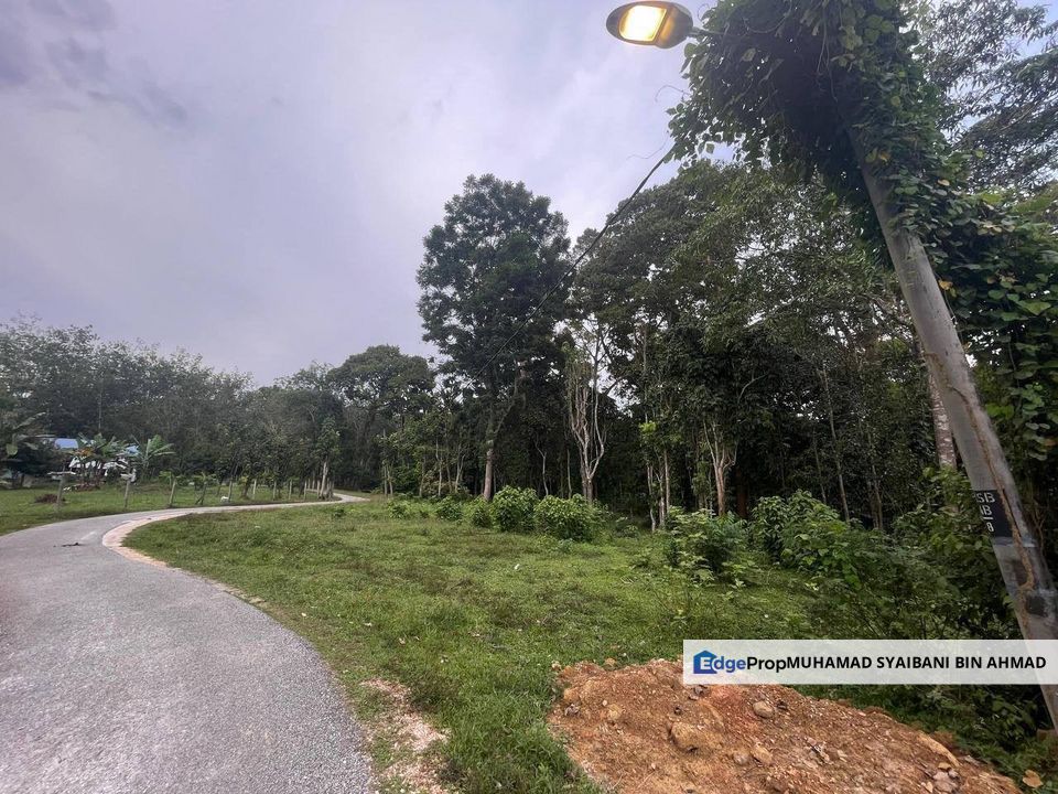 Tanah Dusun Untuk Dijual ❗️ Mukim Bongor, Baling, Kedah, Baling