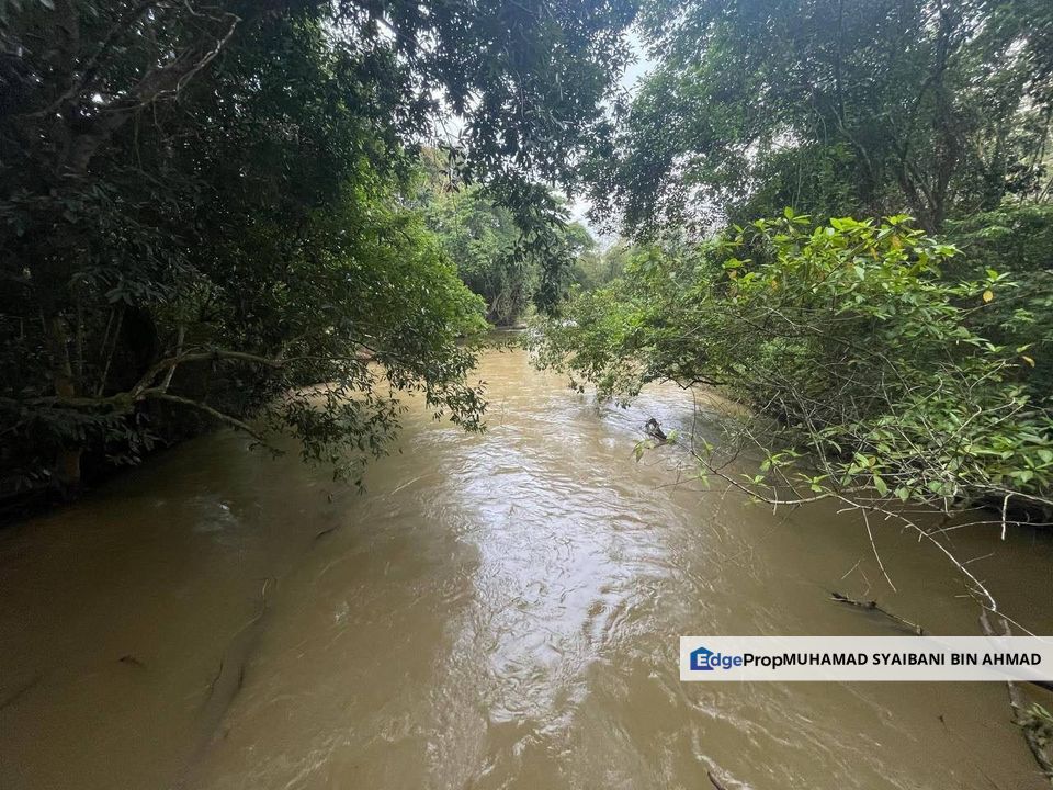 Tanah Dusun Untuk Dijual ❗️ Mukim Bongor, Baling, Kedah, Baling