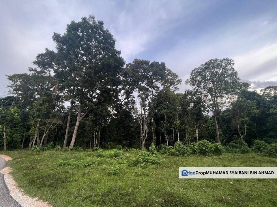 Tanah Dusun Untuk Dijual ❗️ Mukim Bongor, Baling, Kedah, Baling