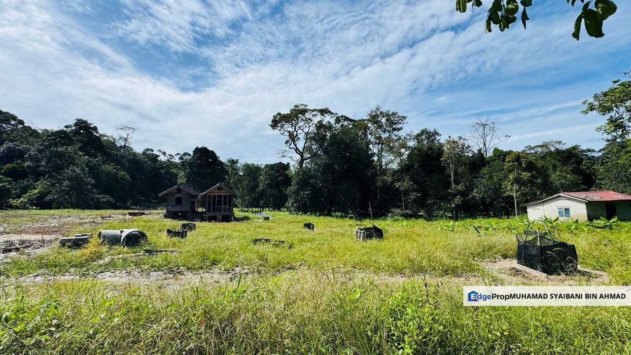 Tanah Dusun Durian + Rumah Kebun Yan For Sale, Kedah, Yan