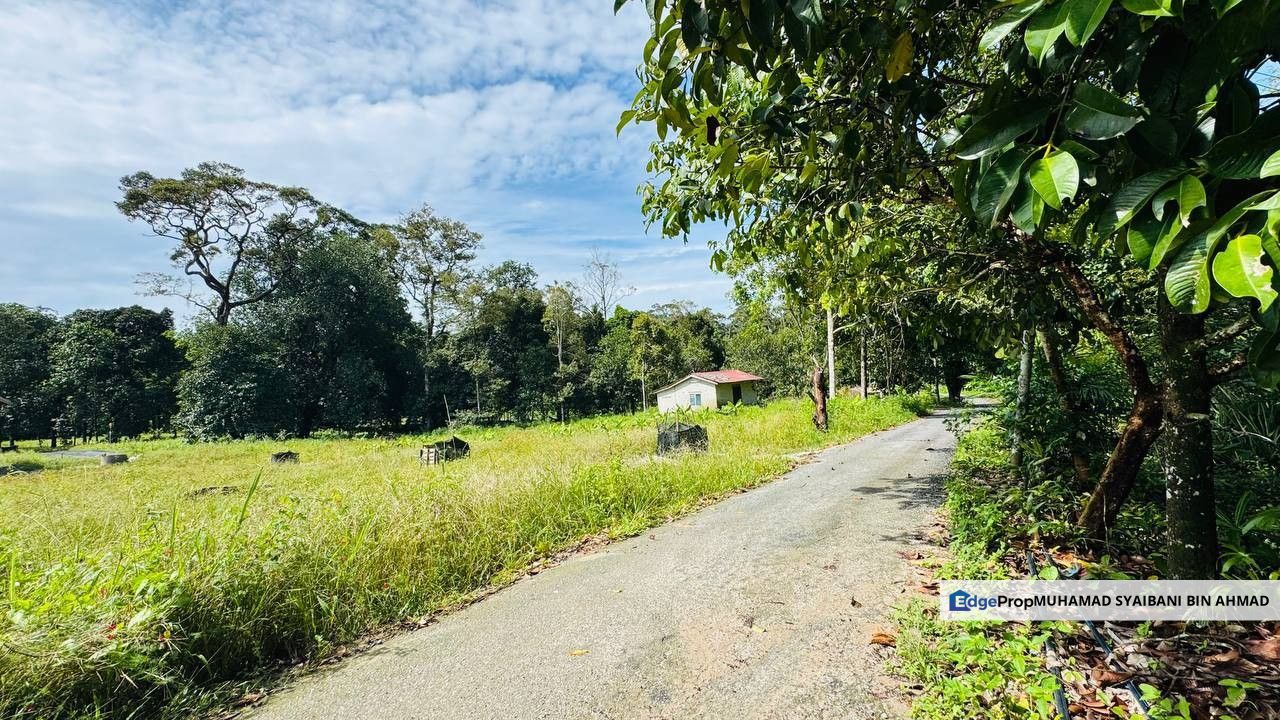 Tanah Dusun Durian + Rumah Kebun Yan For Sale, Kedah, Yan