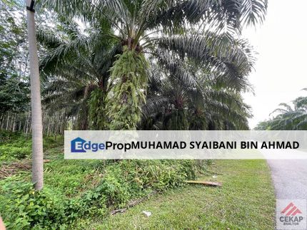 Tanah Tepi Jalan Hampir 2 Hektar For Sale, Kedah, Sungai Petani