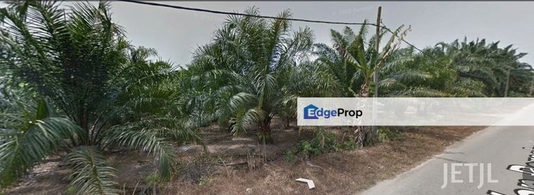 Tanjung Karang  Palm Oil Agriculture Land For Sale, Selangor, Tanjong Karang 