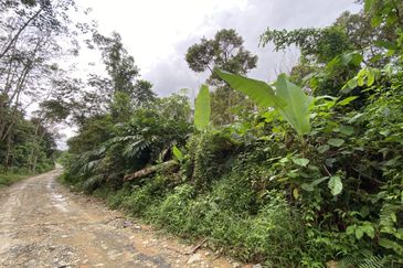 Jalan Broga