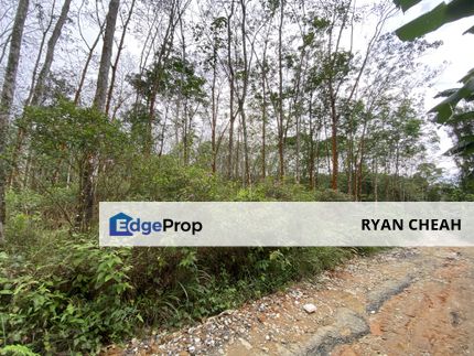 Cheap Buy Freehold Flat Land Agriculture Land @ Broga Semenyih, Selangor, Semenyih