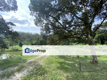 Agriculture Land For Sale At Broga Semenyih, Selangor, Semenyih