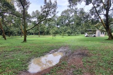 Durian farm for sale @ Jerom Tangkak Johor