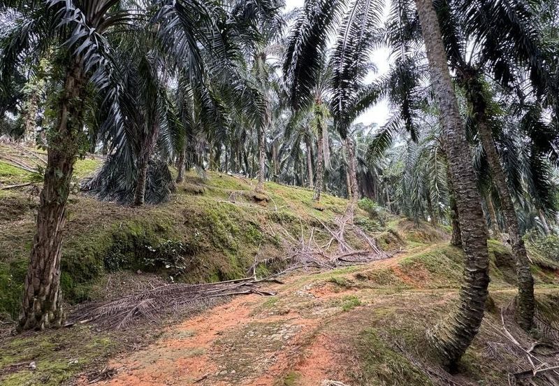 Sungai Siput