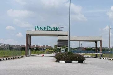 Pine Park