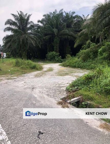 🌳 Industrial Land For Sale – Chemor 🌳, Perak, Ipoh