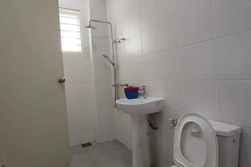 Seri Beringin @ Botani