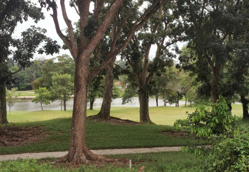 Tiara Golf Resort Bungalow Land with POND view (small lot)