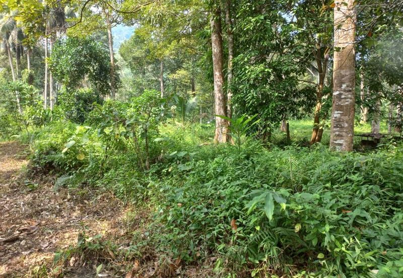 Land For Sale Sg. Lui Hulu Langat  Include River Suitable For Resort/ Healing!!