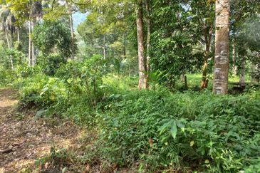 Land For Sale Sg. Lui Hulu Langat  Include River Suitable For Resort/ Healing!!