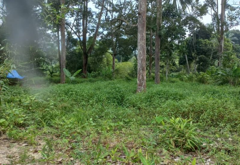 Land For Sale Sg. Lui Hulu Langat  Include River Suitable For Resort/ Healing!!