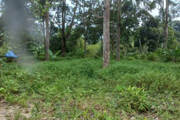 Land For Sale Sg. Lui Hulu Langat  Include River Suitable For Resort/ Healing!!