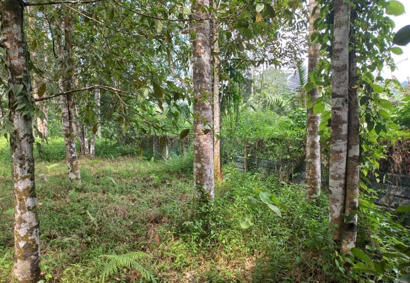 Land For Sale Sg. Lui Hulu Langat  Include River Suitable For Resort/ Healing!!