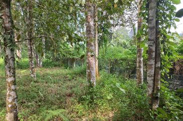 Land For Sale Sg. Lui Hulu Langat  Include River Suitable For Resort/ Healing!!