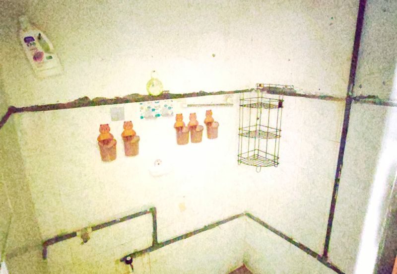 Teres 1 Tingkat Taman Ria, Arau Perlis