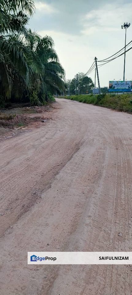 Ladang Sawit Kampung Parit Mahang Ijok , Selangor, Kuala Selangor