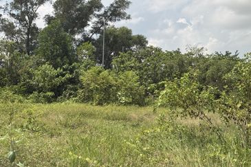 Agriculture Land for Sale  📍 Sungai Petani Kedah 