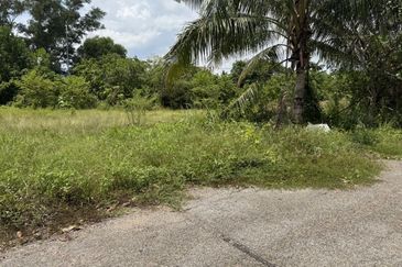 Agriculture Land for Sale  📍 Sungai Petani Kedah 
