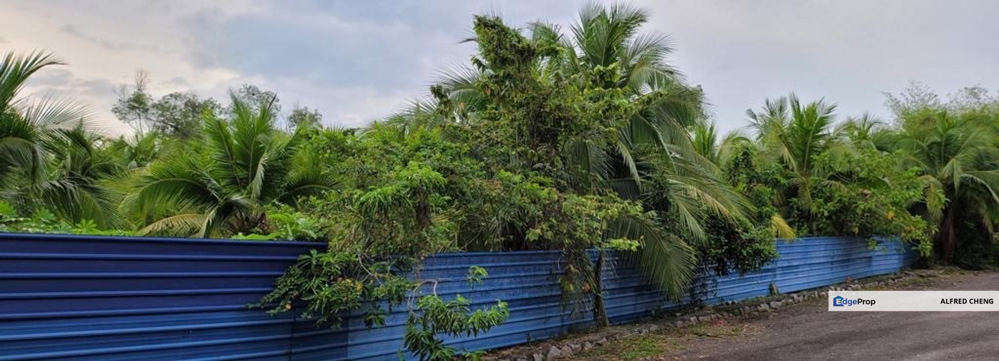 Tanah Bungalow Lot Untuk DIJUAL@ Taman Keladi Sungai Petani Kedah 🌳🌳🌳Land, Kedah, Sungai Petani