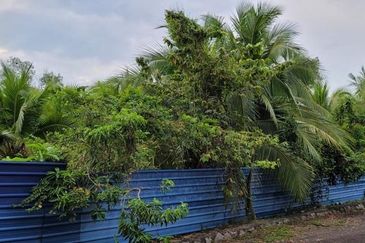 Tanah Bungalow Lot Untuk DIJUAL@ Taman Keladi Sungai Petani Kedah 🌳🌳🌳Land