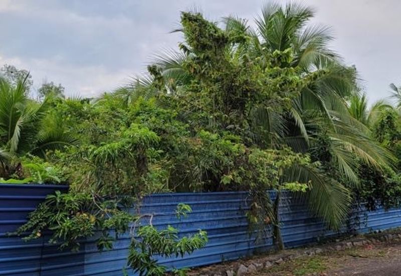 Tanah Bungalow Lot Untuk DIJUAL@ Taman Keladi Sungai Petani Kedah 🌳🌳🌳Land