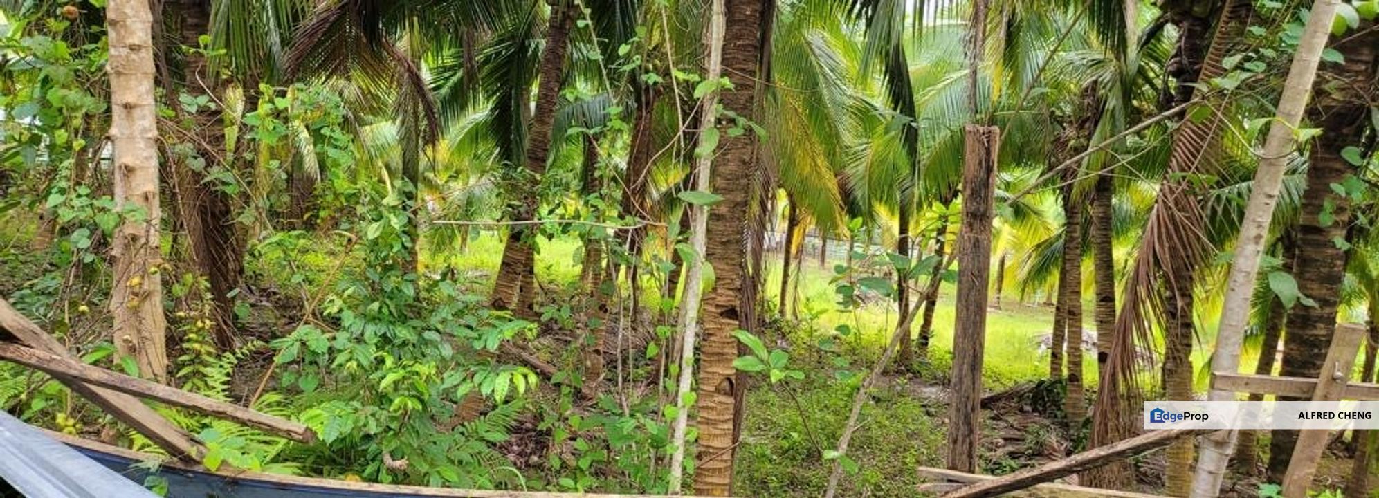 Tanah Bungalow Lot Untuk DIJUAL@ Taman Keladi Sungai Petani Kedah 🌳🌳🌳Land, Kedah, Sungai Petani