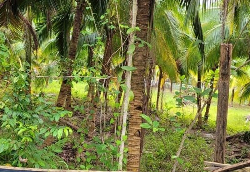 Tanah Bungalow Lot Untuk DIJUAL@ Taman Keladi Sungai Petani Kedah 🌳🌳🌳Land