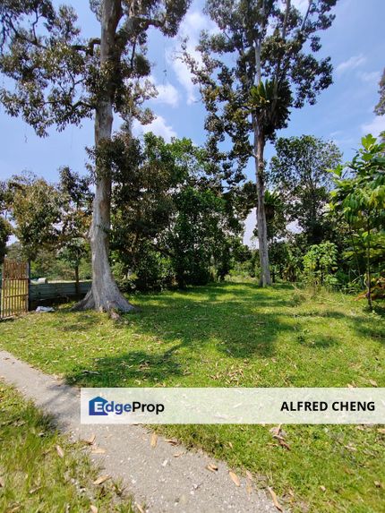 Durian Land For Sale Relau Bandar Baharu Kedah(Econsave Jawi go 15min), Kedah, Bandar Baharu