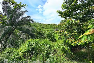 Agriculture Land for sale @ Sungai Petani Kedah