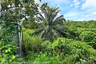 Agriculture Land for sale @ Sungai Petani Kedah