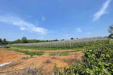 Tanah Untuk DIJUAL@ Sungai Petani Kedah 🔥Land For Sale