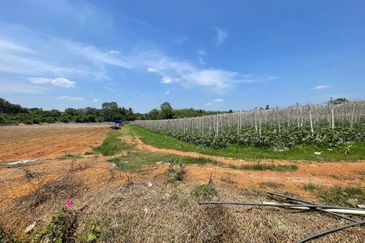 Tanah Untuk DIJUAL@ Sungai Petani Kedah 🔥Land For Sale