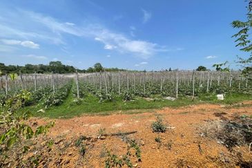 Tanah Untuk DIJUAL@ Sungai Petani Kedah 🔥Land For Sale