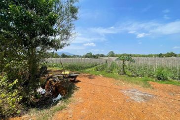 Tanah Untuk DIJUAL@ Sungai Petani Kedah 🔥Land For Sale