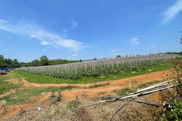 Tanah Untuk DIJUAL@ Sungai Petani Kedah 🔥Land For Sale