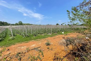 Tanah Untuk DIJUAL@ Sungai Petani Kedah 🔥Land For Sale