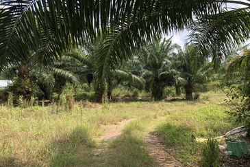 City Area Agriculture Land for Sale Zoning Commercial And Residential  📍 Sungai Petani Kedah 