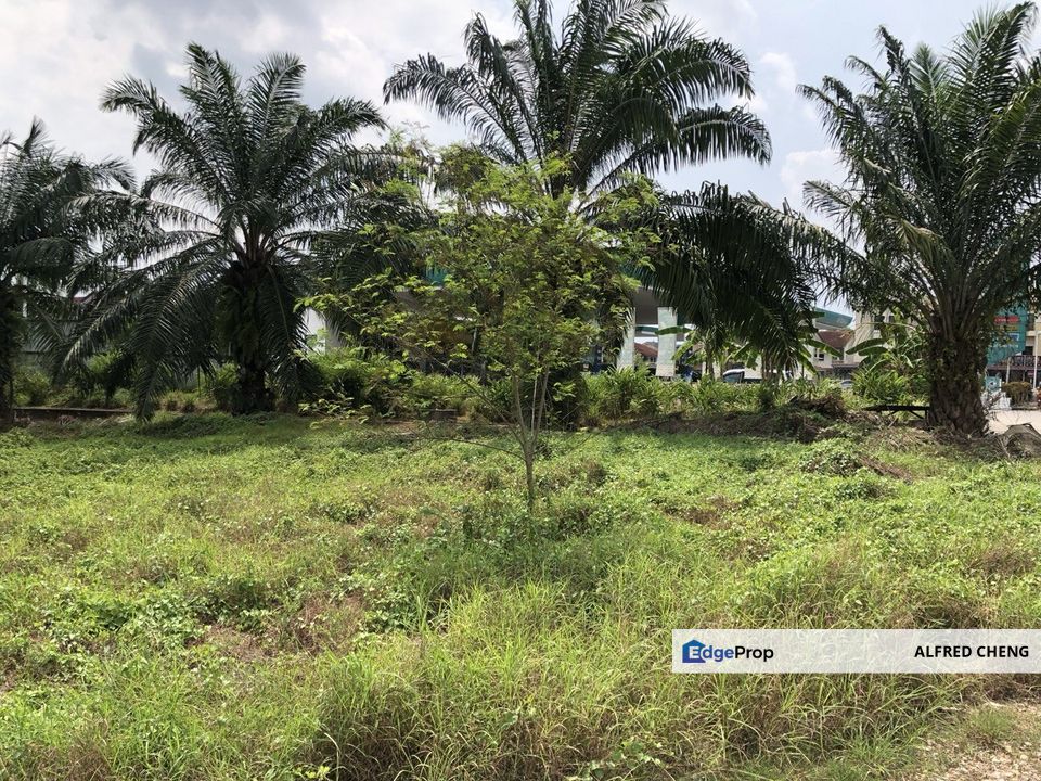 City Area Agriculture Land for Sale Zoning Commercial And Residential  📍 Sungai Petani Kedah , Kedah, Sungai Petani