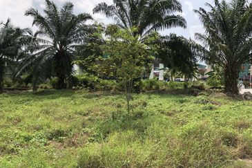 City Area Agriculture Land for Sale Zoning Commercial And Residential  📍 Sungai Petani Kedah 