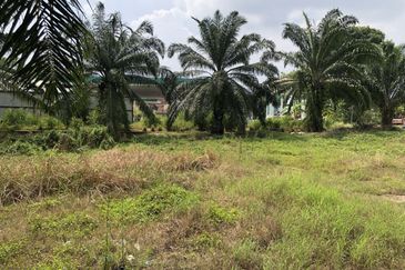 City Area Agriculture Land for Sale Zoning Commercial And Residential  📍 Sungai Petani Kedah 