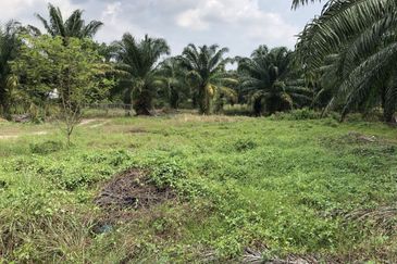 City Area Agriculture Land for Sale Zoning Commercial And Residential  📍 Sungai Petani Kedah 