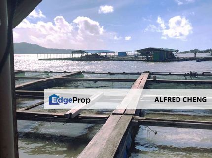 Fish Breeding Raft for SALE   📍 Tanjung Dawai, Merbok Kedah, Kedah, Merbok