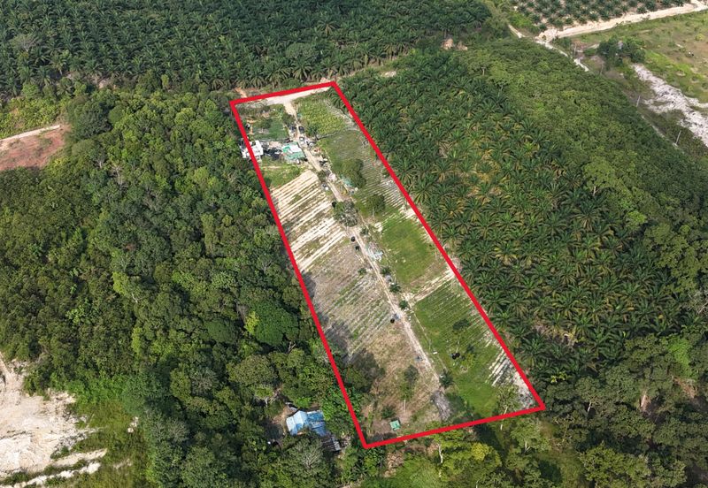 FREEHOLD TANAH KEBUN 3 Ekar di Kg Seri Menanti, Pekan Nenas, Pontian [MURAH]