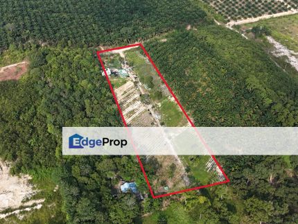 FREEHOLD TANAH KEBUN 3 Ekar di Kg Seri Menanti, Pekan Nenas, Pontian [MURAH], Johor, Pekan Nanas (Pekan Nenas)