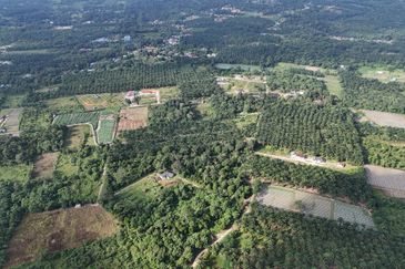 Tanah Sawit 2.9 ekar Kg Sayang Sedili Besar, Tepi Jalan Besar