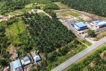 Tanah Sawit 2.9 ekar Kg Sayang Sedili Besar, Tepi Jalan Besar